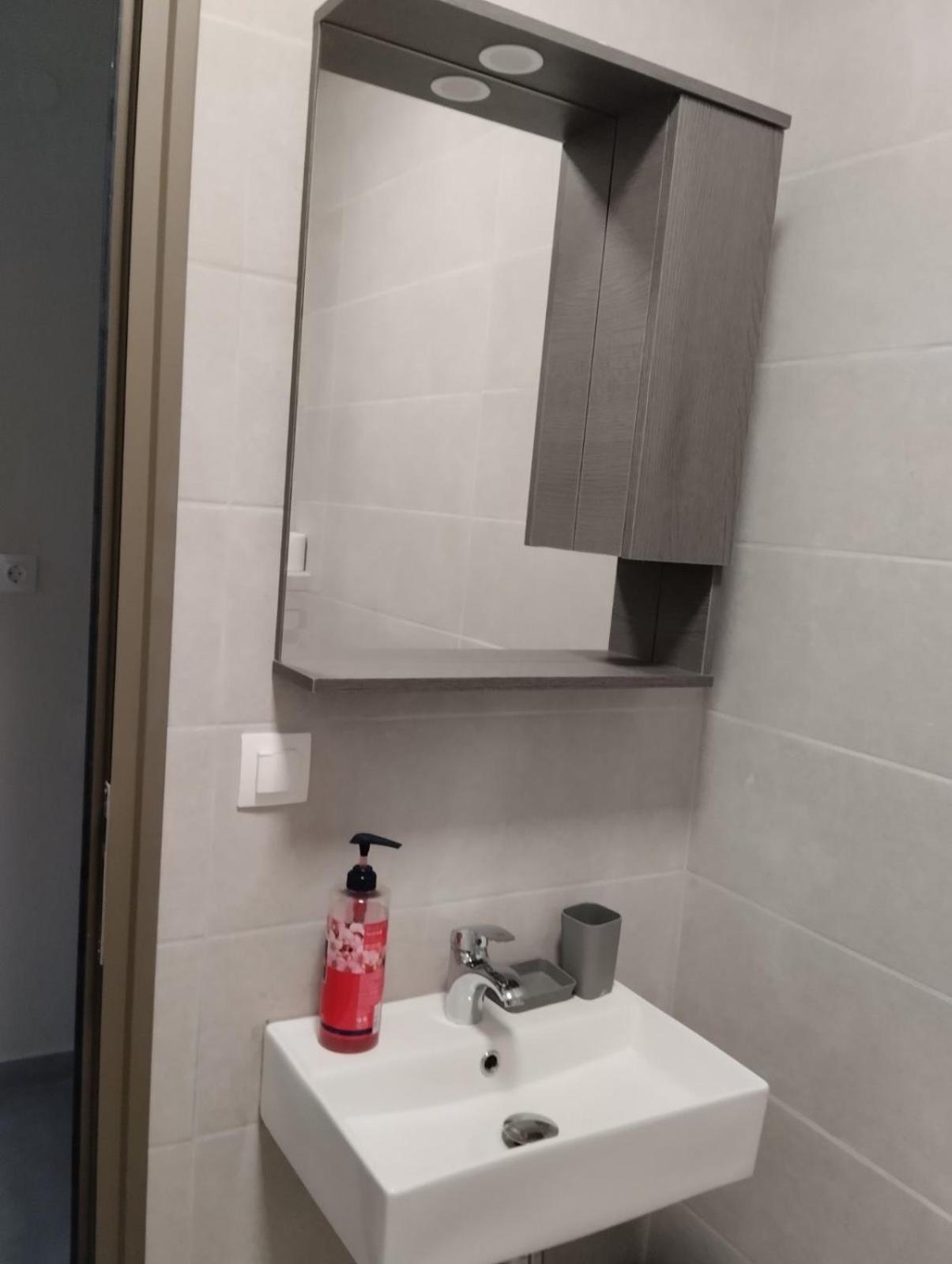 Daniela Apartments ネア・ローダ エクステリア 写真
