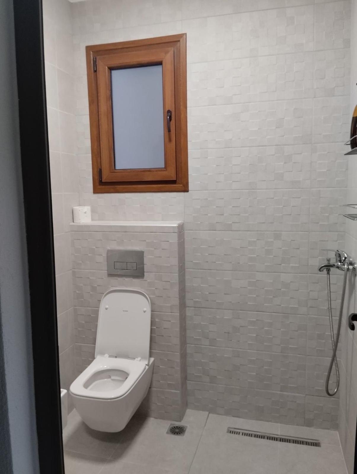 Daniela Apartments ネア・ローダ エクステリア 写真